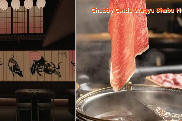 Chubby Cattle Wagyu Shabu House | Novi