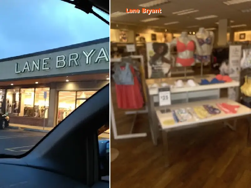 Lane Bryant