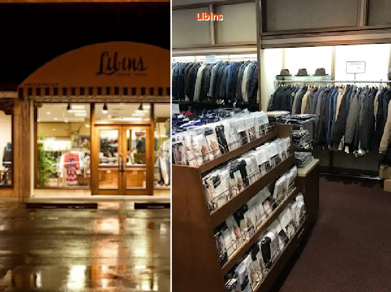 Libins